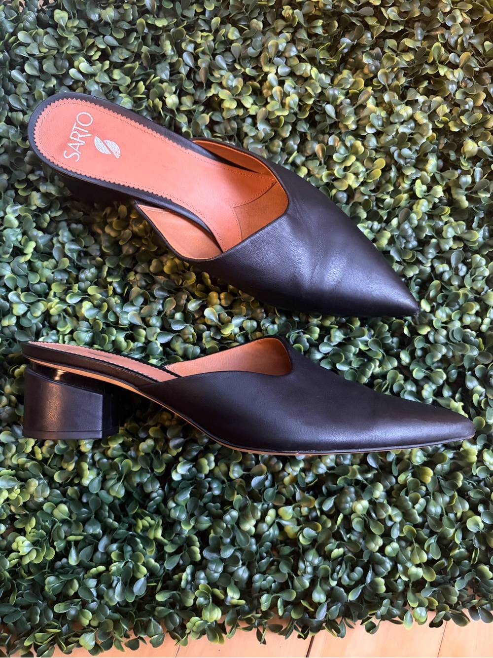 SARTO By Franco Sarto Black Pointed Toe Leather Mules